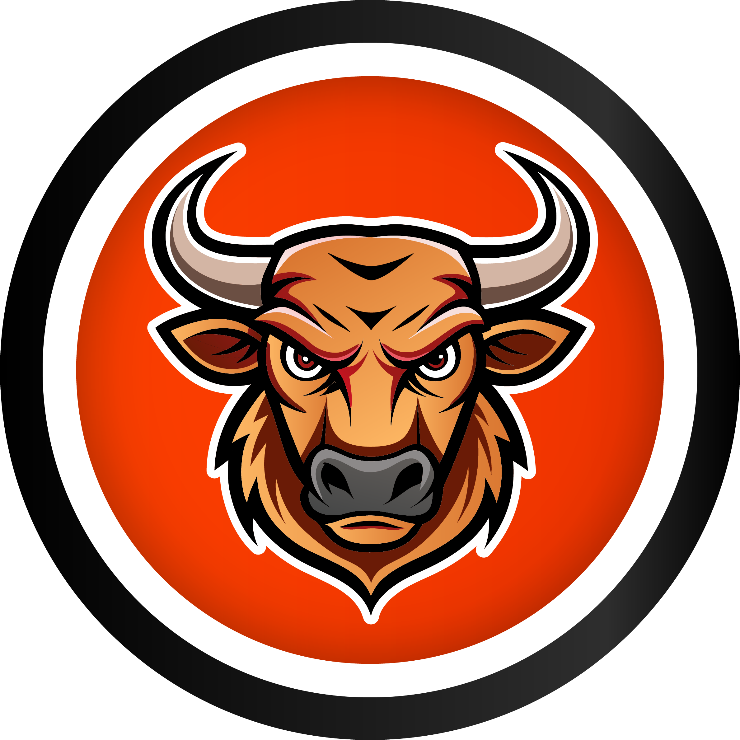 Toros