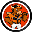 Toros del Este